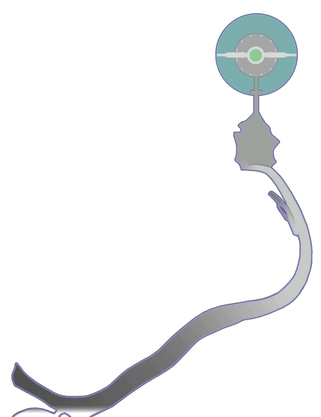 文件:Ma18a f11 map 0.png